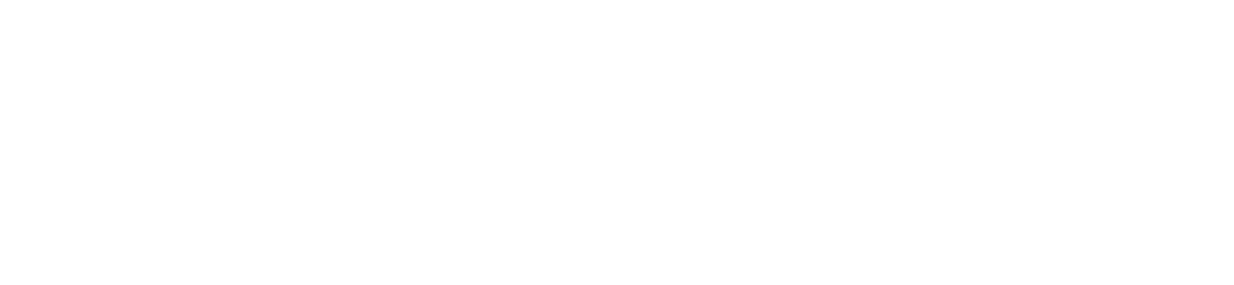 Occlutech